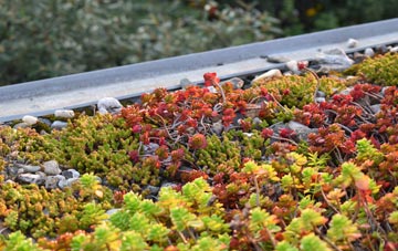 the cost of Custom House green roof installation