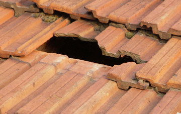 roof repair Custom House, Newham